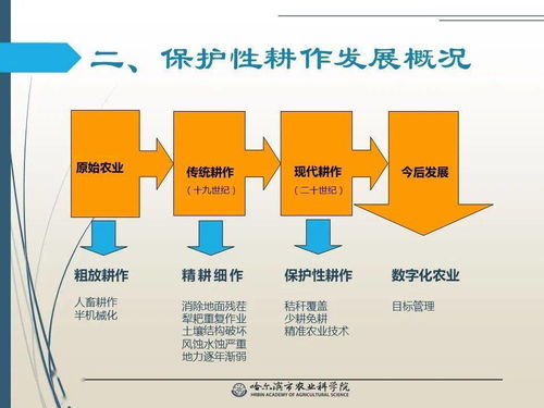 黨建引領(lǐng)謀發(fā)展 科技助農(nóng)備春耕——保護性耕作技術(shù)推廣網(wǎng)絡(luò)課堂